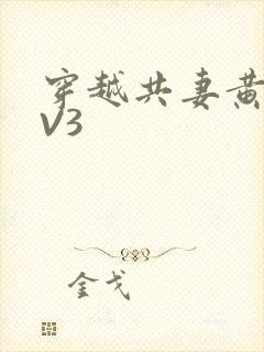 穿越共妻黄暴1V3