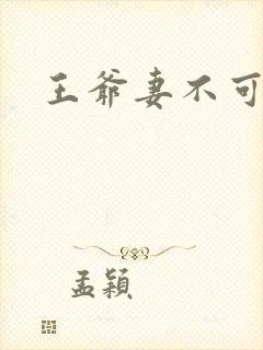 王爷妻不可欺