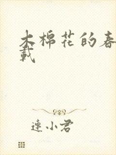 木棉花的春天下载