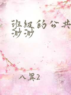 班级的公共玩具渺渺