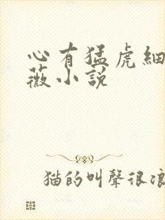 心有猛虎细嗅蔷薇小说