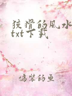 狡猾的风水相师txt下载