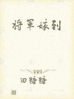将军嫁到