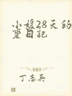 小媛28天的剧变日记