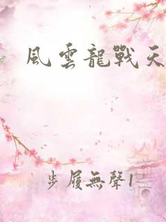 风云龙战天下