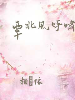 西北风呼啸的中午