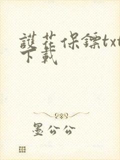 护花保镖txt下载