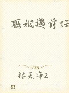 联姻遇前任小说