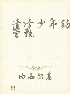 清冷少年的严厉管教