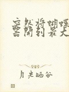 突然将蝴蝶遥控器开到最大