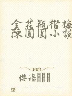 金花瓶楷梅花2陈圆圆小说