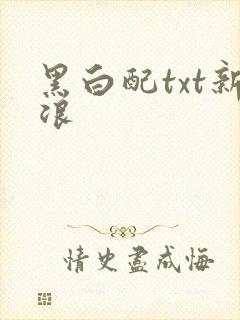 黑白配txt新浪