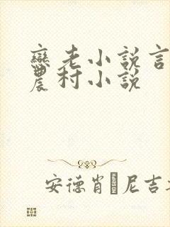 恋老小说言情网农村小说