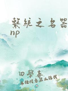 系统之名器攻略np