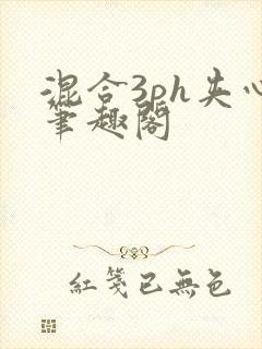 混合3ph夹心笔趣阁