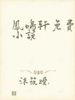 凤鸣轩免费言情小说