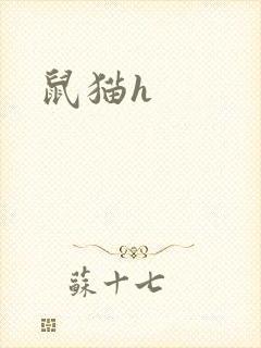 鼠猫h