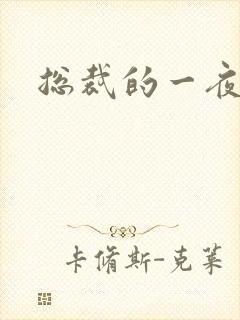 总裁的一夜情人