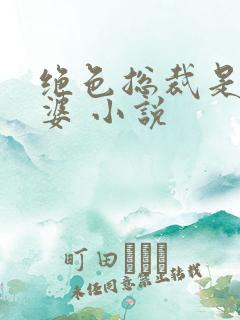 绝色总裁是我老婆 小说