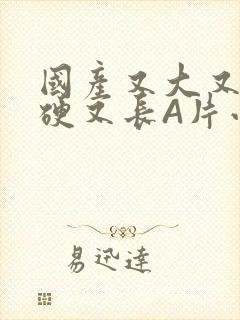 国产又大又粗又硬又长A片小说