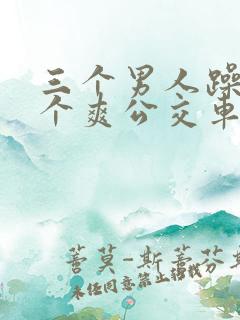 三个男人躁我一个爽公交车上