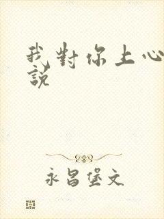 我对你上心了小说