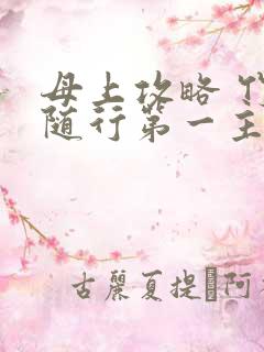 母上攻略 竹影随行第一主板