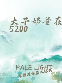 太子奶爸在花都5200