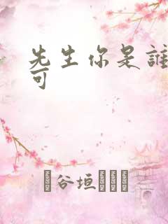 先生你是谁林亦可