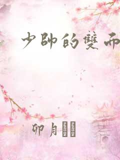 少帅的双面宠妻