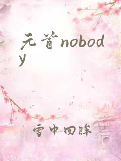 元首nobody