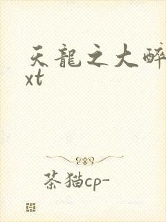 天龙之大醉侠txt