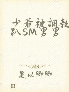 少爷被调教室跪趴SM男男