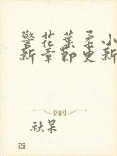 警花叶柔小说最新章节更新