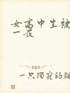 女高中生被弄了一夜