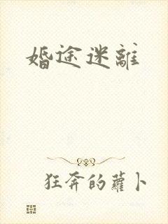 婚途迷离