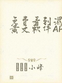 免费看到湿的小黄文软件APP