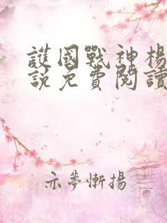 护国战神杨风小说免费阅读