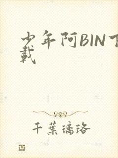 少年阿BIN下载