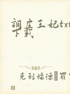 调皮王妃txt下载