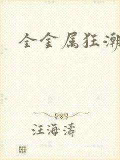 全金属狂潮小说