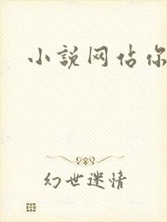 小说网站你懂的