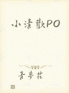小清欢PO