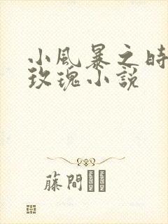 小风暴之时间的玫瑰小说