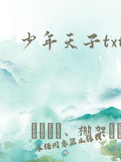 少年天子txt
