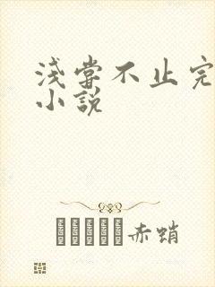 浅尝不止完整版小说