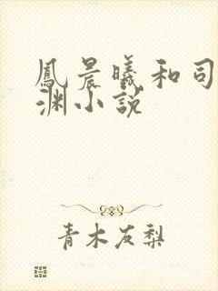 凤晨曦和司鸿颜渊小说