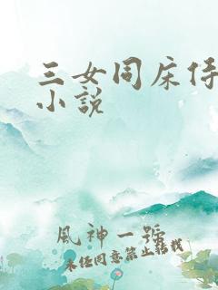 三女同床侍一夫小说