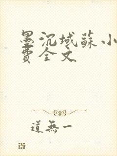 墨沉域苏小柠免费全文