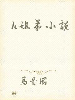 h姐弟小说